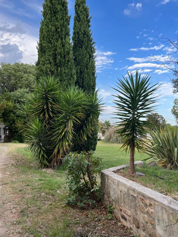 Alpilles Camargue Mas Falabrego Raphèle 外观 照片